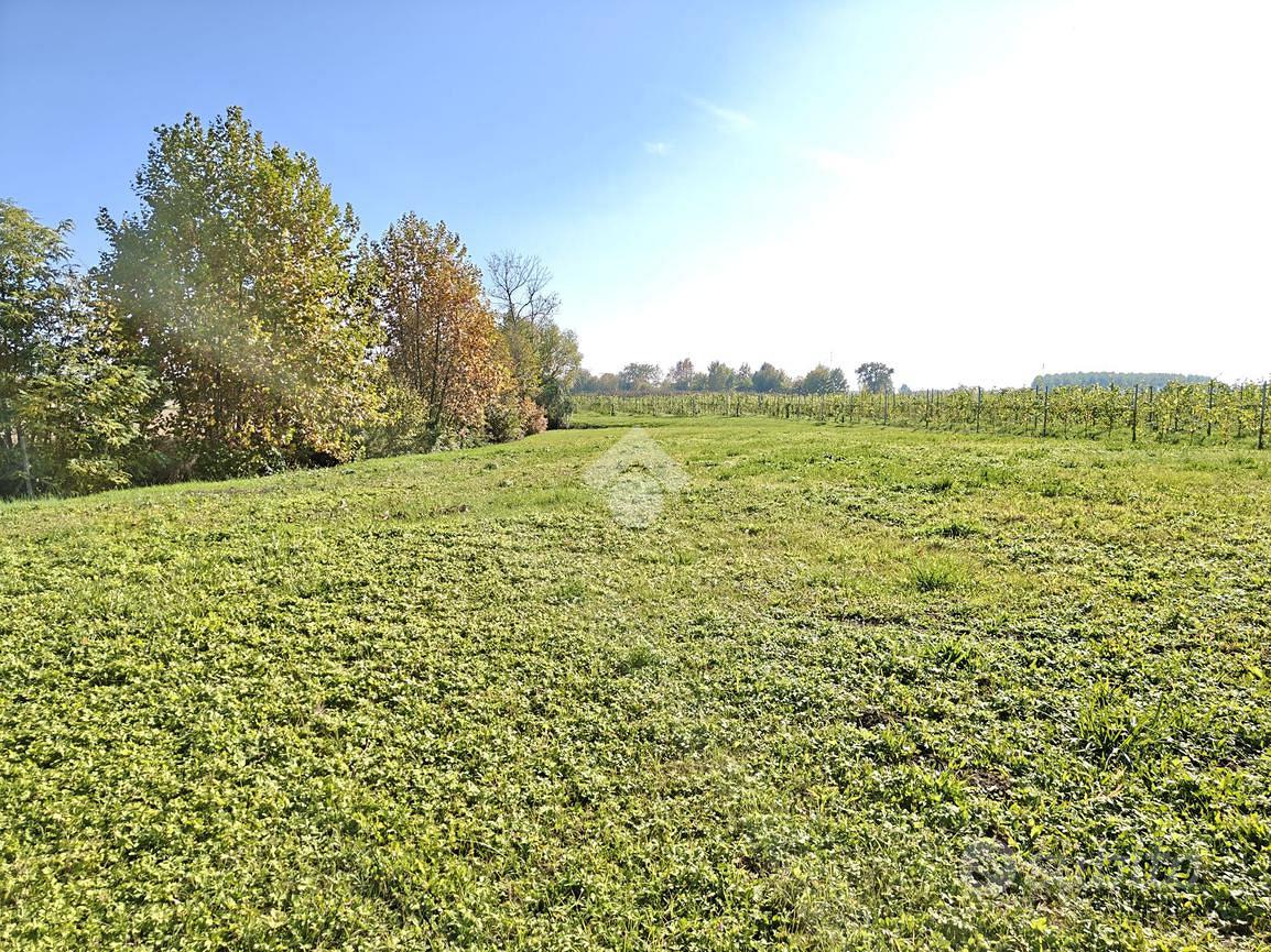 TER. RESIDENZIALE A GAIARINE - Vista 4