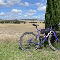 Gravel ridley Kanzo adv