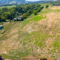 TER. AGRICOLO A ALBINEA