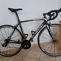 Bici Bottecchia Duello
