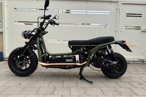 Honda CN 250 Maxi Zoomer Custom