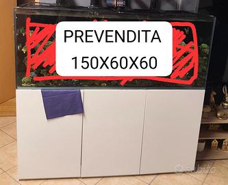 Acquario 150x60x60