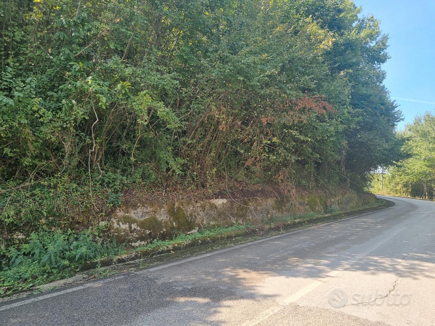 Terreno di mq. 25.000 con rudere di mq. 180 ca - Vista 3