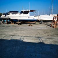SAVER FISHER 23