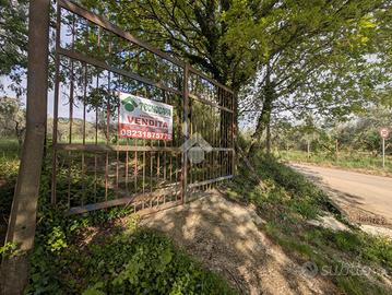 TER. AGRICOLO A CONCA DELLA CAMPANIA