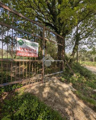 TER. AGRICOLO A CONCA DELLA CAMPANIA