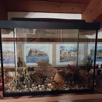Acquario Tetra 80 litri