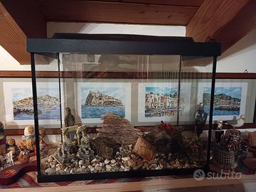 Acquario Tetra 80 litri