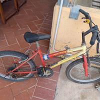 bicicletta per ragazzini 