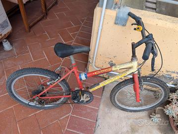 bicicletta per ragazzini 
