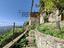 Immagine 16
