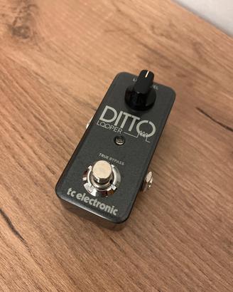COMBO Ampeg 25 watt + DITTO + Accordatore + cavo
