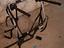 Immagine 2