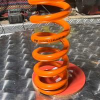 Molla Foc Racing Shox da 550 lbs