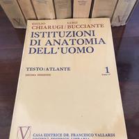 ISTITUZIONI ANATOMIA DELL’UOMO/CHIARUGI-BUCCIANTE