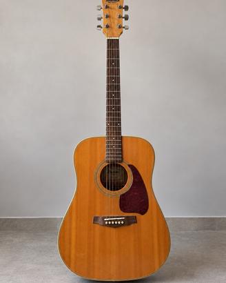 Chitarra acustica Ibanez Performance PF40