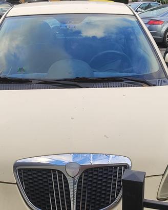 Lancia Y 1.2 16V PLATINO
