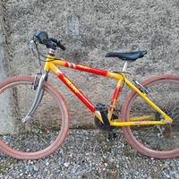 bici da ragazzo