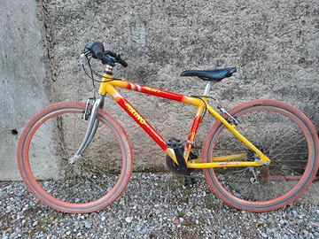 bici da ragazzo