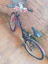 Bicicletta