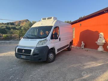 Fiat Ducato refrigerato