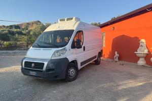 Fiat Ducato refrigerato