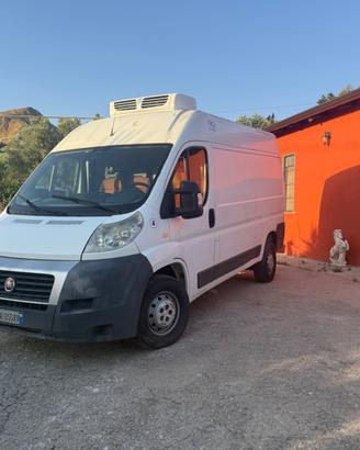 Fiat Ducato refrigerato