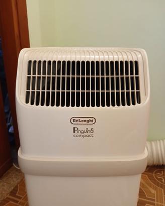 Condizionatore  Pinguino compact - De Longhi