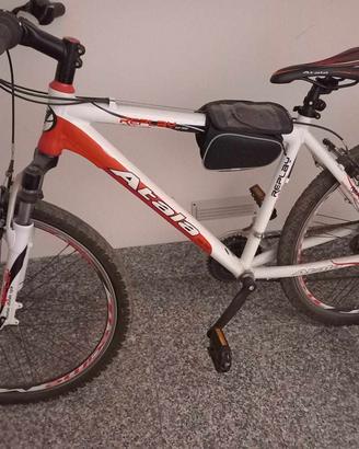 bici mtb Atala uomo 