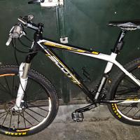 MTB Muscolare Scott  Scale 35