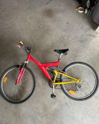 Mountain Bike gialla e rossa