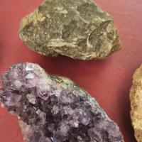 Conchiglie / trilobite  fossili