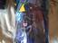 Immagine 2