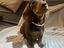 Immagine 1