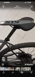 Bicicl