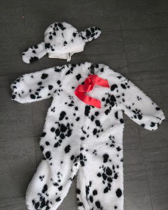 Costumi Dalmata (2 Tipi di Taglie)