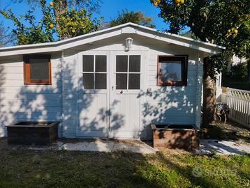 Casette in legno caratteristiche.