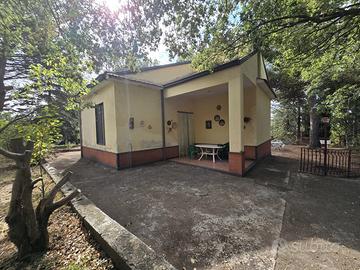 Villetta singola ammobiliata già abitabile