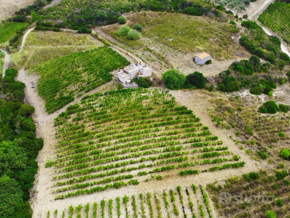 Terreno agricolo con vigneto e fabbricati in vendi - Vista 5