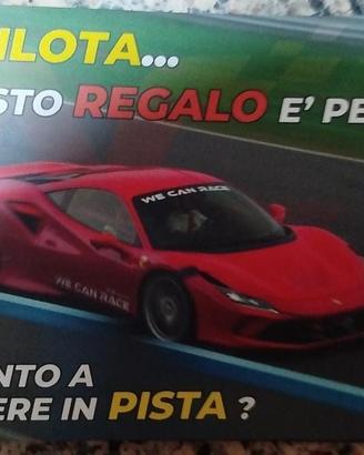 Pilota per un giorno