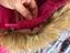 Immagine 5