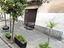 Immagine 20