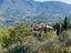 Immagine 26
