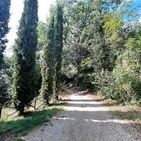 TER. AGRICOLO A TORRI IN SABINA