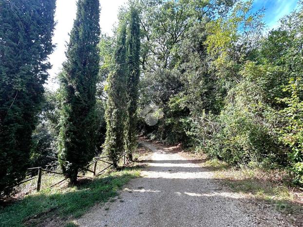 TER. AGRICOLO A TORRI IN SABINA