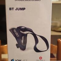 Tutore ortopedico cane