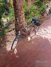 Bicicletta Geminiano