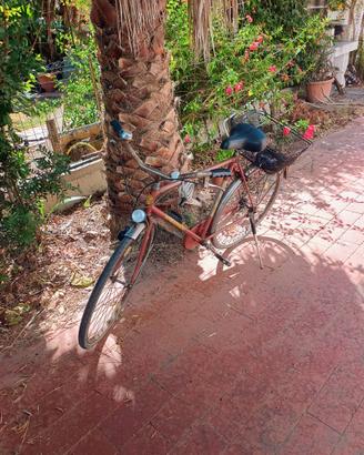 Bicicletta Geminiano
