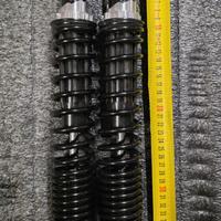 Ammortizzatori Vespa 300 GTS