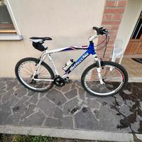 Bottecchia FX 520